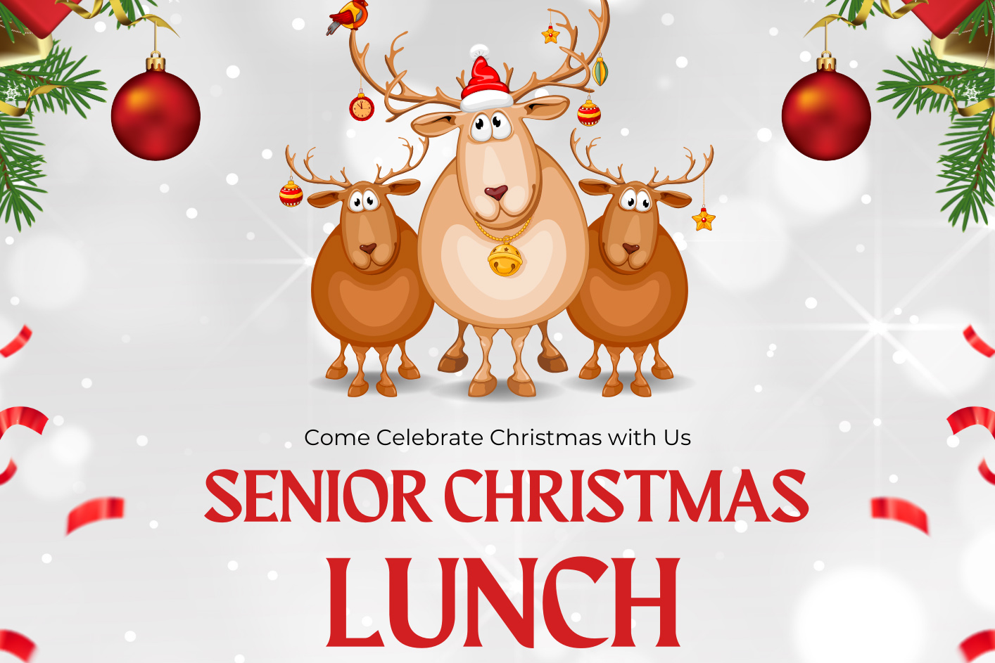 Senior Citizens Christmas Party